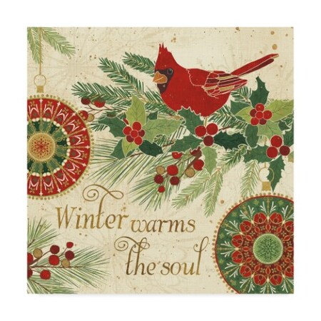 Winter Feathers VI by Veronique Charron, 35x35-Inch Canvas Wall Art